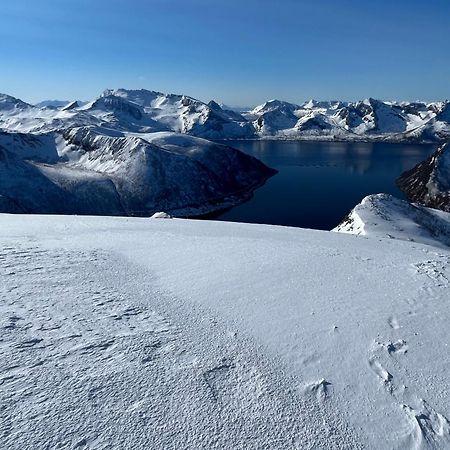 Leilighet I Rorbu Pa Kaldfarnes - Yttersia Senja Kültér fotó