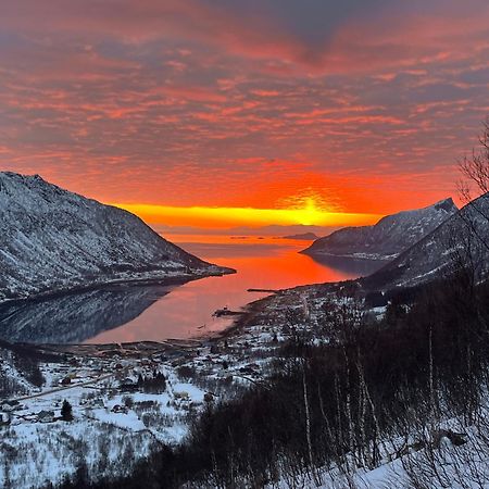 Leilighet I Rorbu Pa Kaldfarnes - Yttersia Senja Kültér fotó