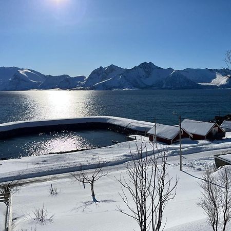 Leilighet I Rorbu Pa Kaldfarnes - Yttersia Senja Kültér fotó
