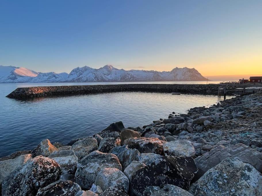 Leilighet I Rorbu Pa Kaldfarnes - Yttersia Senja Kültér fotó