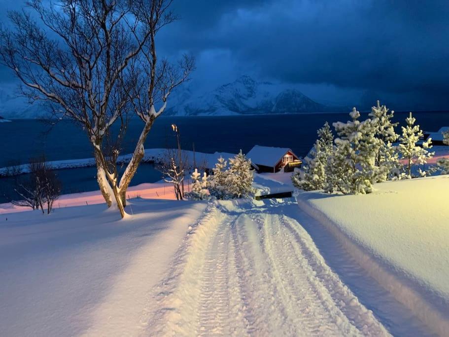 Leilighet I Rorbu Pa Kaldfarnes - Yttersia Senja Kültér fotó