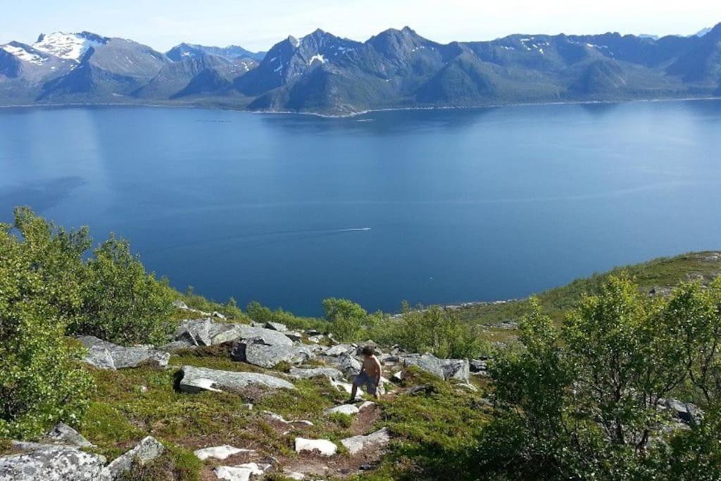 Leilighet I Rorbu Pa Kaldfarnes - Yttersia Senja Kültér fotó