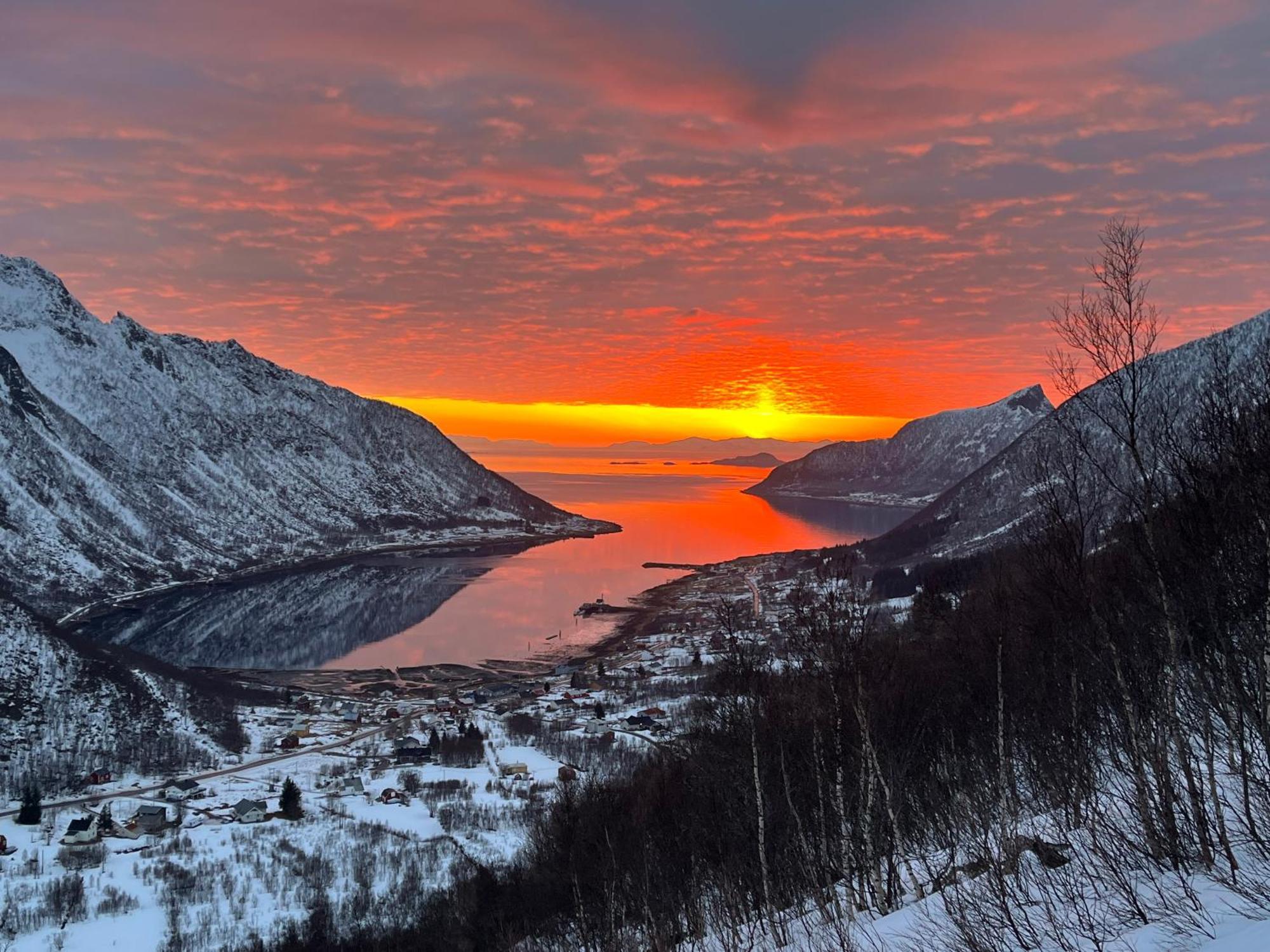 Leilighet I Rorbu Pa Kaldfarnes - Yttersia Senja Kültér fotó